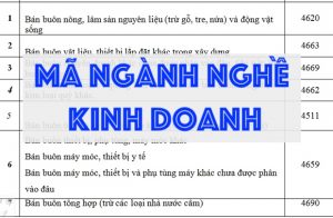 ma ngành kinh te