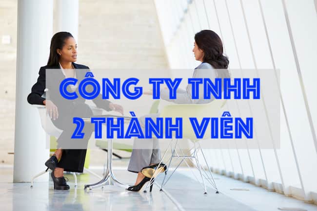 Ưu và nhược điểm của loại hình Công ty TNHH hai thành viên trở lên 1 tnhh