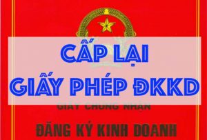 cap lai giay phep